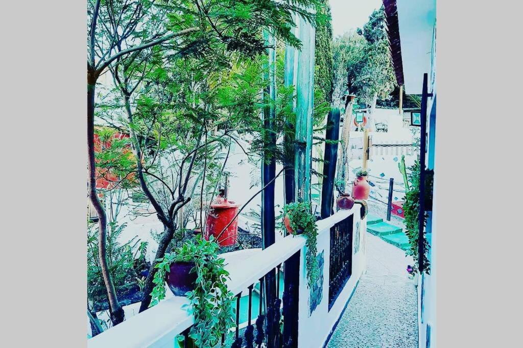 Gran Canaria La Finca De Carmelita Y Bartolito ลาสปัลมาส เด กรานคานาเรีย ภายนอก รูปภาพ